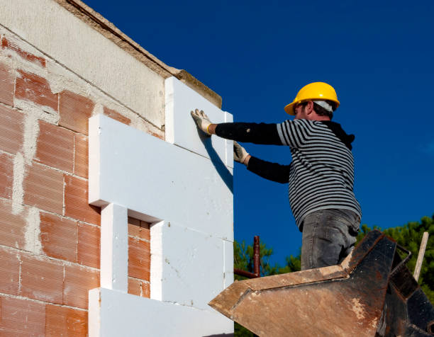 Best Insulation Installation Services in Hannahs Mill, GA
