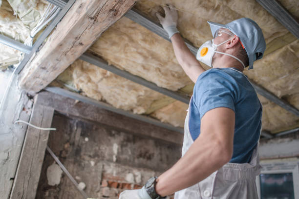Best Insulation Materials and Products in Hannahs Mill, GA