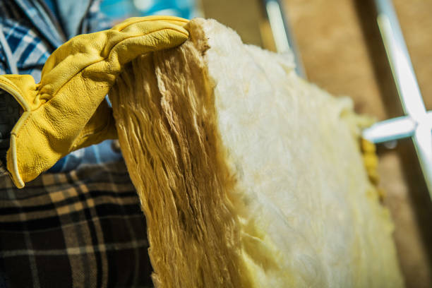 Best Residential Insulation in Hannahs Mill, GA