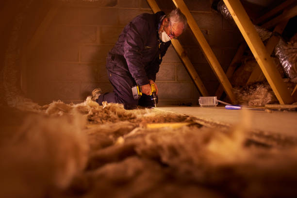 Best Energy Efficiency Solutions in Hannahs Mill, GA